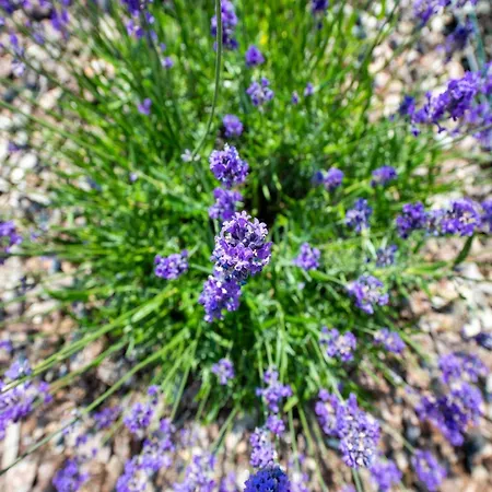 Сasa de vacaciones In Near Sint-andre Koksijde