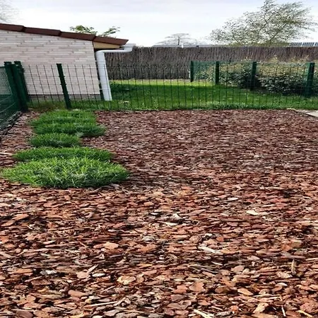 In Near Sint-andre * Koksijde