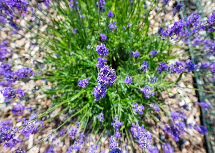 Vakantiehuis In Near Sint-andre Koksijde