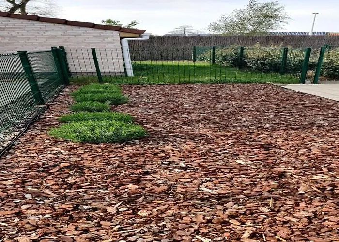 In Near Sint-andre * Koksijde